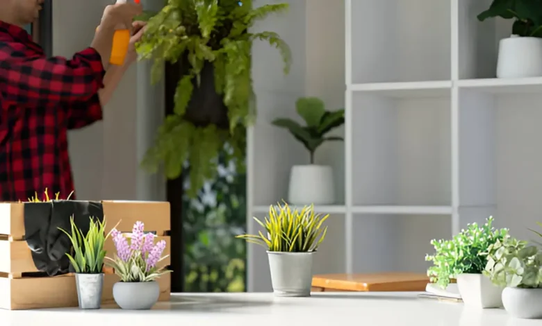 Fresh Air Indoors: Practical Tips for a Healthier Home Environment