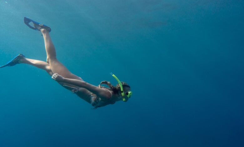Maximize Your Underwater Fun with Complete Snorkel Essentials